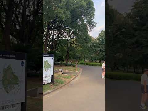 The great Yoyogi park Tokyo #insidejapan #tokyo #japanthings #japantravel #japanlife #yoyogipark