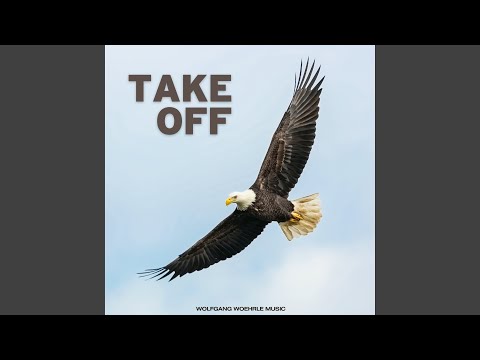 Cinematic Documentary Inspiration