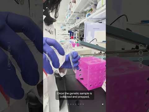 Cryobanking Explained: How We Preserve Animal Genetics