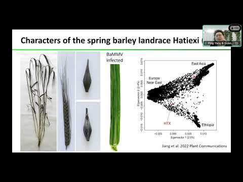 IBH Seminar | HTX mutagenesis population for barley genes discovery