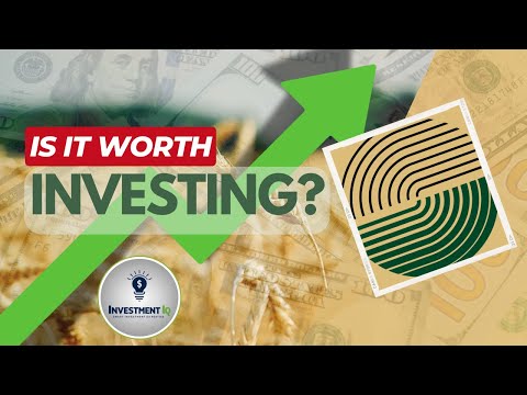 Have You Ever Heard of this Company? Unbelievable Financial Turnaround in 2024!