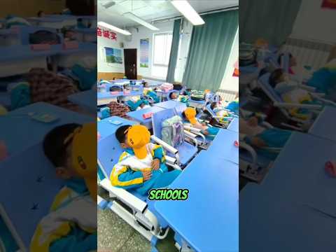 Chinese Schools&#039; Unique Nap Time Tradition #shorts