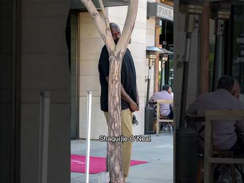 The Paparazzi&#039;s Worst Nightmares! Which Celebrity Hides the Best?! 😳